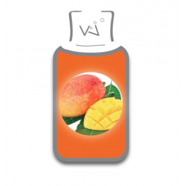 E-liquide Mangue Vincent dans les Vapes